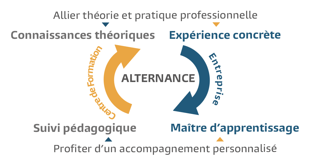 Qu'est ce que l'alternance